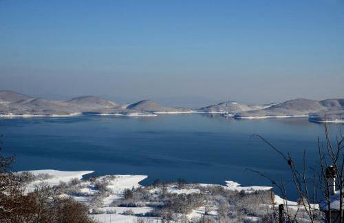 Anthemion - Photo 31