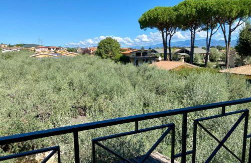 La Piccola Provenza - Foto 12