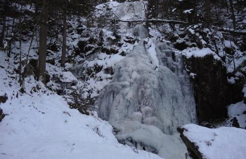 Eco-friendly chalet with private hot tub, Vosges mountain - Foto 20