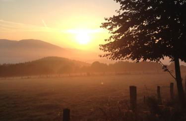 An den Bergwiesen - Foto 20