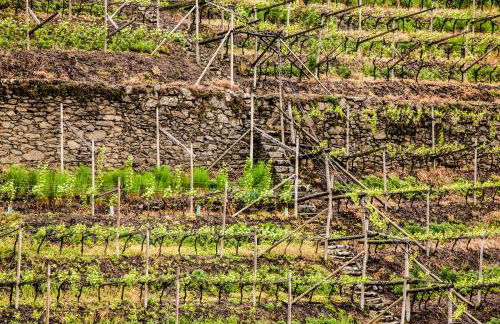 Ladurnerhof Boutique Apartments Meran - Photo 37