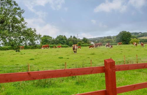 Sgubor Llwyndu - Foto 30