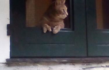 Agriturismo La Vigna - Foto 14