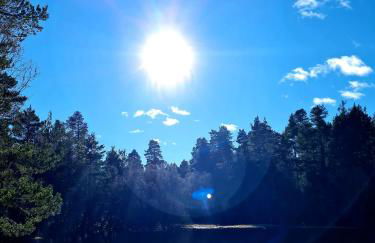 Deeside Holiday Cottages - Photo 28