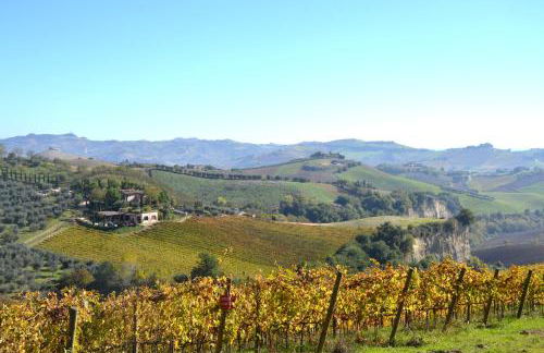 Agriturismo Fiorano - Foto 58