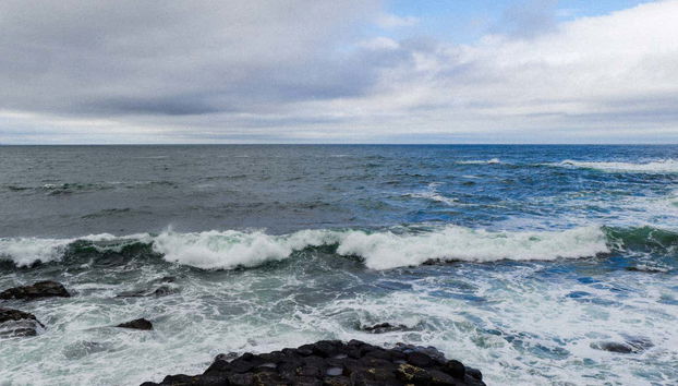 Giant's Causeway Private Tour - Foto 3