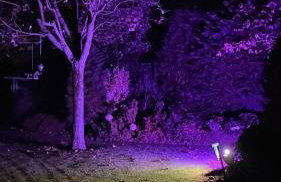 Haus Am Damm - Foto 14