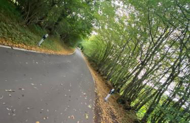 K 357 - Low budget Hotel in Ratekau bei Lübeck - Foto 79