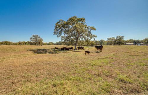Pond and Grazing Cattle! Rural Getaway Near Van - Foto 2