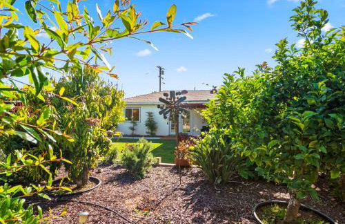 Bay Park Garden Paradise - central Location, AC, Washer Dryer & Private yard! - Foto 38