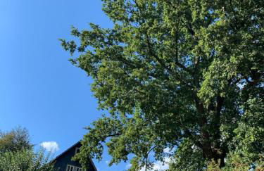 Nibelungen Odenwaldhaus - Foto 6