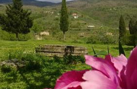 Agriturismo Botro - Foto 35