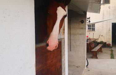 Casa do Tio João - Foto 57