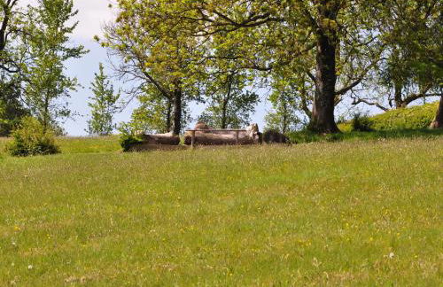 Rockhill Farmhouse - Foto 42