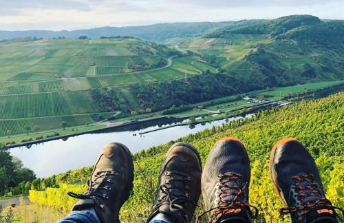 Weingut & Gästehaus Andreas Erz - Foto 14