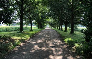 Little Oaks - Foto 16