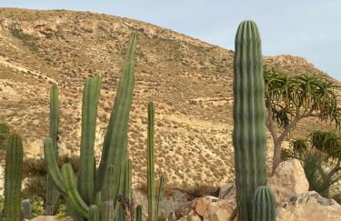 Villa Mi Marino - Foto 66