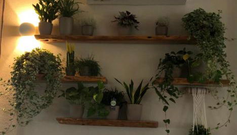 Agriturismo S'Ispiga - Foto 4