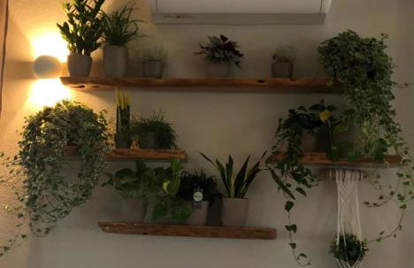 Agriturismo S'Ispiga - Foto 4