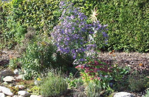 Ferienwohnung Haus Hollerbusch - Foto 11