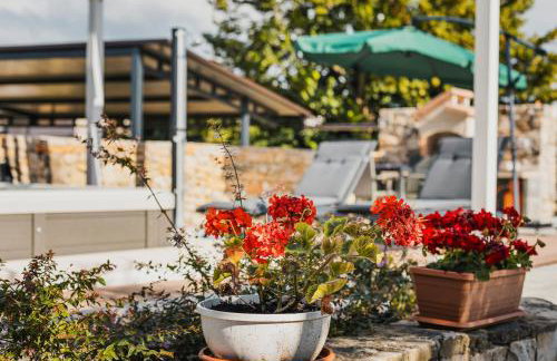 Casa Iveta - Foto 13