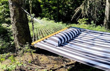 CAMP HAUS Cabin Retreat Sauna, Plunge, Hot Tub - Photo 3