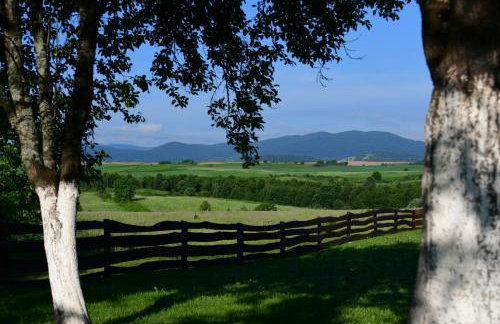 Apartman Jelena - Foto 30