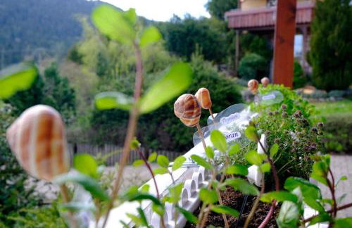 SchwarzWild - Ferienwohnung und Ferienzimmer - Foto 62