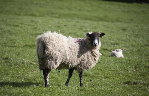 1 Bed in Pateley Bridge oc-g0026 - Photo 24