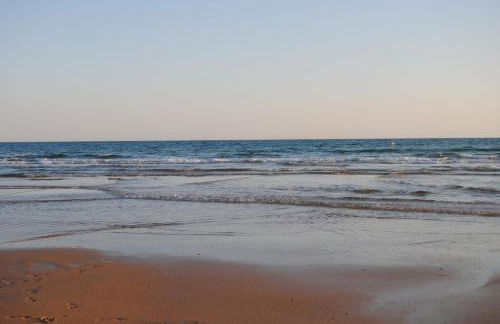 La Carrajolilla - Foto 12