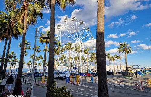 The Salamadras - Photo 32