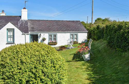 Tan Bryn - Uk44151 - Foto 11