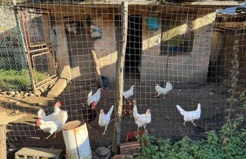 Tirano Living - Corte Righi - Ai Monti 42 - Foto 11