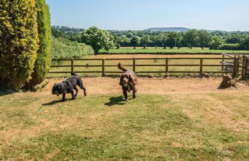 Piglet Corner - Photo 28