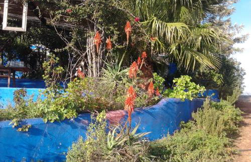 Quinta da Fornalha - Santuario Agroecologico - Foto 53