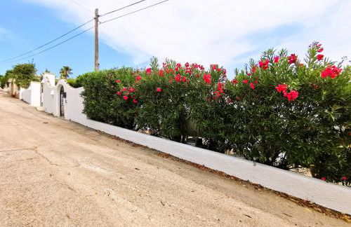 Villa Panorama - Foto 44