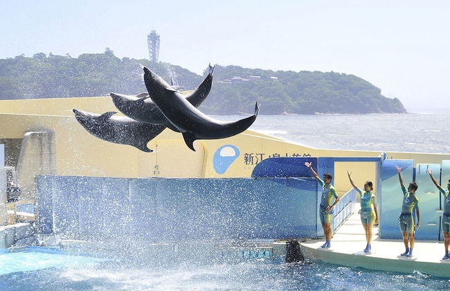 Casablanca Pool House - Foto 36