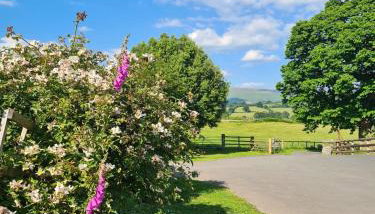 Brecon Beacons Lovely cottage with stunning views - Foto 3