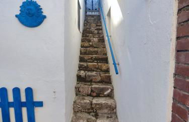 Pino Marino - Foto 20