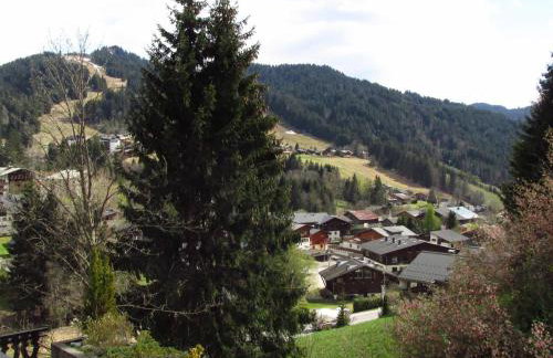 Studio avec terrasse et garage aux Gets - FR-1-623-221 - Foto 7