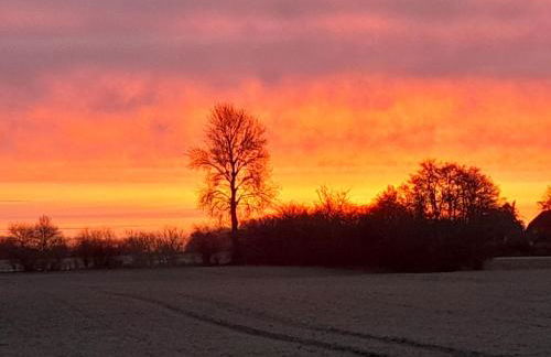 Ferienwohnung Mangelsen - Foto 19