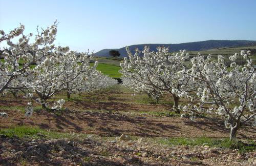 CASERIO INAZARES - CASAS DE MONTAÑA CON CHIMENEA Y NIEVe - Foto 27