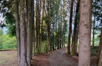 Moradia no Gerês - O Africanista - Foto 22