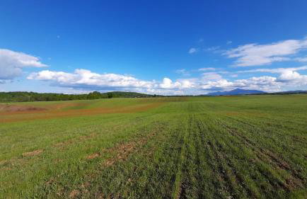 Tiny House Grabovac - Foto 46