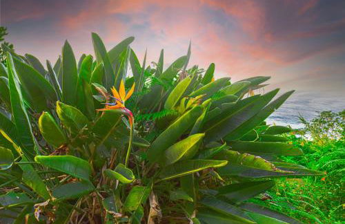 Rita's house - Foto 26