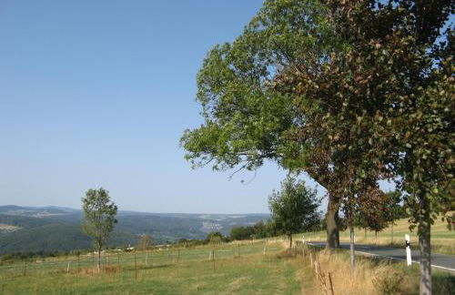 am Balkon des Erzgebirges - Foto 28