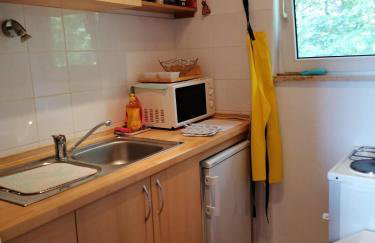 Rural house above the forest - Foto 14