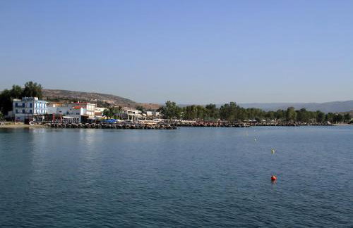 Hotel Stella - Photo 36