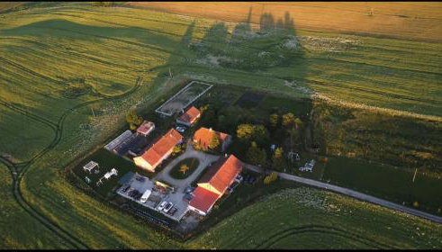 Folwark Malinowy Chruśniak - Foto 2