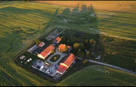 Folwark Malinowy Chruśniak - Foto 1